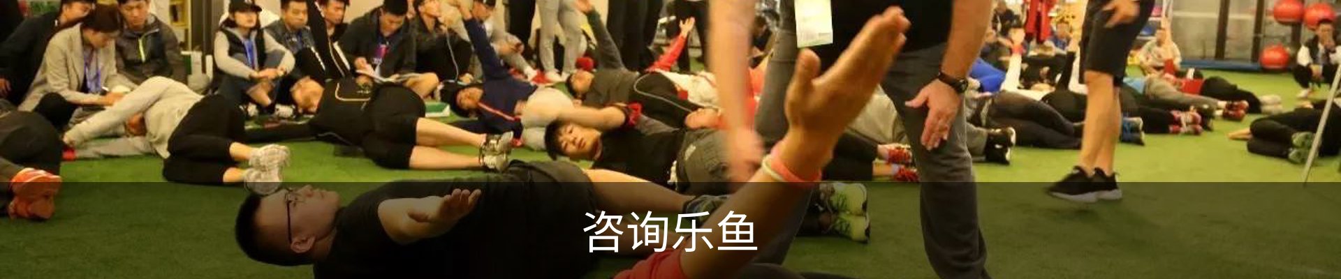 咨询乐鱼